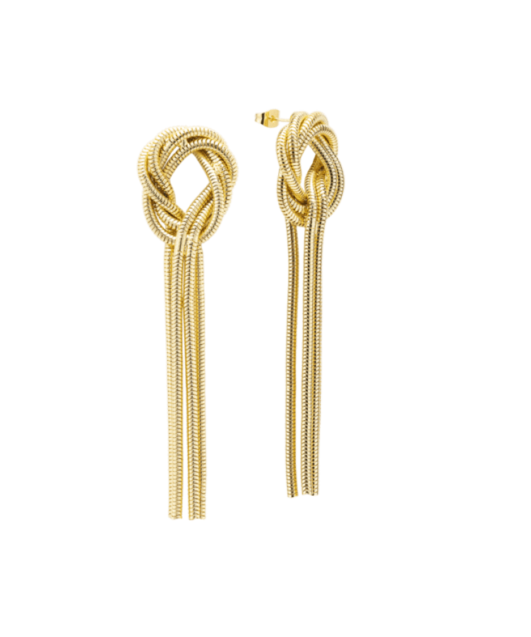 Fierce Earrings